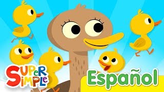 Cinco Patitos  Canciones Infantiles  Super Simple Español [upl. by Hadrian770]