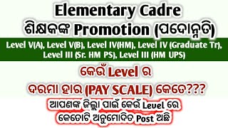 ଜାଣନ୍ତୁ Level wise Pay structure amp District wise posts of Elementary teachers in Odisha [upl. by Nnahtur296]