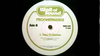 Propellerheads  Take California Original Mix [upl. by Neomah]