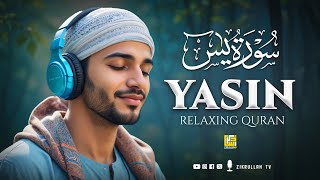 Surah Yasin Yaseen سورة يس  Relaxing heart touching Angelic voice  Zikrullah TV [upl. by Ver502]