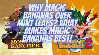 Monster Rancher 2 DX Why Magic Bananas over Mint Leafs and what makes Magic Bananas Best [upl. by Erma]