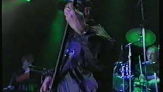 Falco Ganz Wien live in Wiesen 1996 mit Drahdiwaberl [upl. by Brodie199]