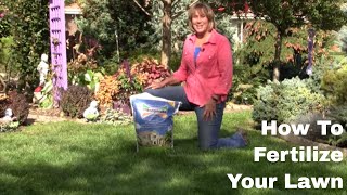 How To Fertilize Your Lawn [upl. by Wilber805]