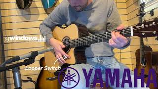 Yamaha TAG3C TransAcoustic  Looper Demo [upl. by Osrick]