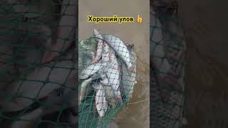 Хороший улов👍 atyrau fishing [upl. by Kikelia719]