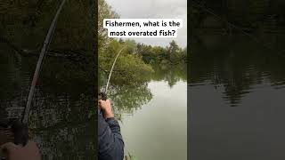 Comment your answer fishing bigfish fish viral nature wildlife animals [upl. by Massey67]