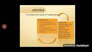 Medical Parasitology lecture 5 Part2 Nematoda [upl. by Georges279]