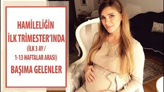 Hamilelikte ilk 3 ay  İlk trimester  113 hafta [upl. by Parthena]