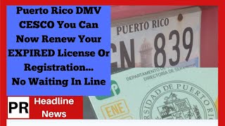 Puerto Rico DMV CESCO How Can You Renew Your EXPIRED License AndOr Marbete [upl. by Ecurb82]