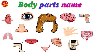 Body parts name in English [upl. by Frear392]