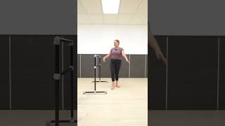 Basic Barre Challenge  Arabesque Leg Lifts [upl. by Marline]