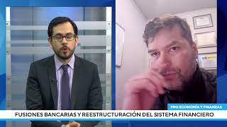 Fusiones bancarias y reestructuración del sistema financiero  Parte 2 [upl. by Rubia412]