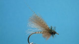 CDC Biot Caddis Emerger  tied by Hans Weilenmann [upl. by Bussy456]