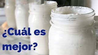 YOGUR VS KEFIR  similitudes y diferencias [upl. by Naivatco732]