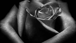 A Single Rose by Brian Crain [upl. by Heyde421]