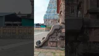 Tanjore shiva Temple 🙏tanjorebigtemple thanjavur travel god shiv shiva [upl. by Ninon72]