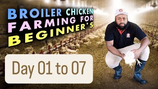 Day 0107 How to Brood DayOld Chicks in Winter  Low Mortality Tips for Broiler Chickens [upl. by Fitton361]