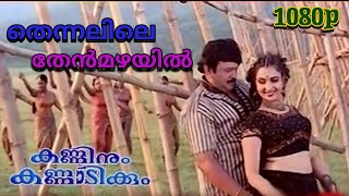 Thennalile Thenmazhayil Kanninum Kannadikkum Movie Video Song Full HD Remastered 1080p [upl. by Japheth]