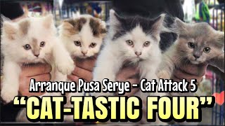 quotCATTASTIC FOURquot  Arranque Pusa Serye  Cat Attack 5  Oct 05 2023 [upl. by Shirlene]