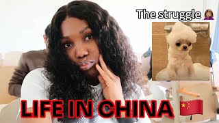 DAY IN THE LIFE OF AN INTERNATIONAL STUDENT IN CHINA PATRICIA IBE [upl. by Elleirbag]