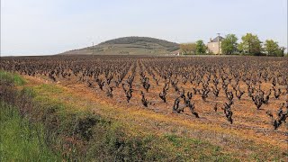 Saint Lager  Le Mont Brouilly  Rhône [upl. by Allehs]