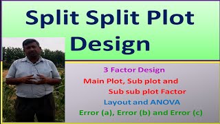 Split Split Plot Design [upl. by Castle870]