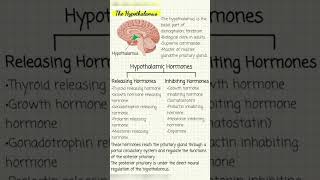 Hypothalamus anatomy and Hypothalamic Hormones [upl. by Radley]