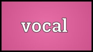 Vocal Meaning [upl. by Aileahcim]