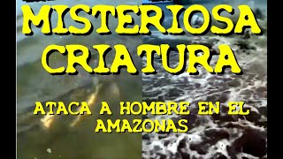 LOS DESVELADOS  MISTERIOSA CRIATURA ATACA A HOMBRE EN EL AMAZONAS [upl. by Rodman241]