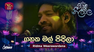 Gahaka Mal Pipila  ගහක මල් පිපිලා  Ridma Weerawardena  Piyum Neela Vila  Roo Tunes [upl. by Ramonda63]