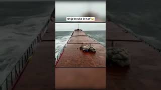 Bulk carrier break into 2 part merchantvessel funnymoment merchantships environmentaldisaster [upl. by Domonic513]