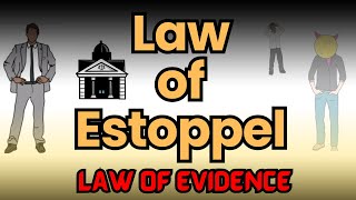 Estoppel 🖐🖐🖐  Law of Evidence UrduHindi [upl. by Eedolem742]