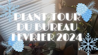 Plant tour du bureau  février 2024 [upl. by Ringler]