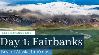 Things to do in Fairbanks Best of Alaska in 10 Days [upl. by Seebeck727]