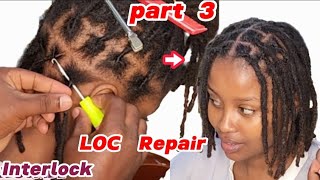 LOC Restoration Part 3 Interlock maintenance on Dreads [upl. by Nywnorb]