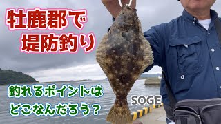 【宮城県の堤防釣り】中々行かないエリアを攻略したくて。fisherman youtube channel [upl. by Vern803]