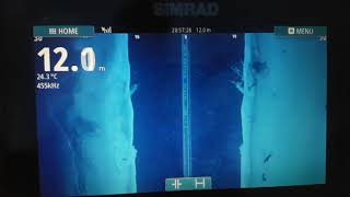 Simrad GO9 Total scan  the best one [upl. by Grefe]