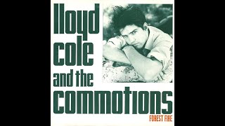 Lloyd Cole And The Commotions – Forest Fire 1984 [upl. by Shayn]