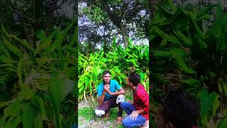 amar dorjer pol diya mone hoy shorts funny foryou rtshakilvai [upl. by Karolyn592]