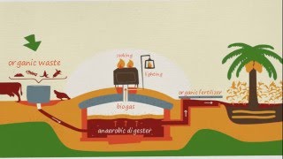 what is biogas how did it produce [upl. by Asilet]