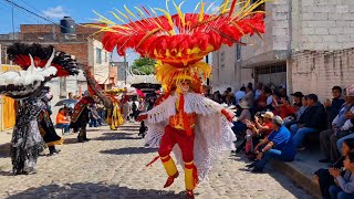 Huehues 2024 La elegancia de Xonaca Puebla Xonaca Tradicion VivaXonaca Casadepiedra [upl. by Khano728]