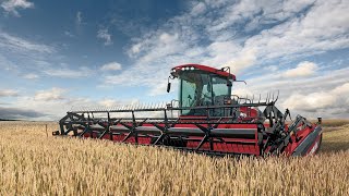 Case IH WD1504 amp WD2104 Windrower with a DH363 Draper Head [upl. by Bauske]