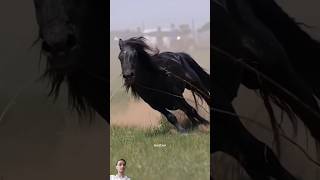 Shave horse hair 😱😱😱 horse horseridinghorselover equestrian facts reaction shortsviralvideo [upl. by Kerman]