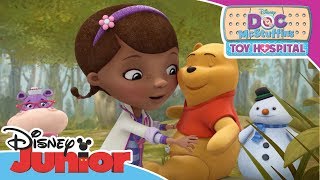 Doc McStuffins Toy Hospital  Into the Hundred Acre Wood Trailer [upl. by Tila]