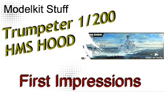 First impressions Trumpeter 1200 HMS Hood [upl. by Housen]