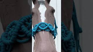 macrame horse halter horse horsetack horseriding horseaccessories [upl. by Nerot]