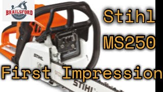 Stihl MS250 Chainsaw Review [upl. by Naro]