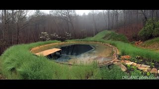 How to make a Natural  Organic Pool in America [upl. by Karry]