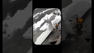 Unexpected Snowfall Hits a Working Woman Her Reaction Will Shock You [upl. by Morgana]