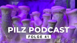 Pilz Podcast Folge 41  Pilze sammeln amp züchten ​ mit derpilzfluesterer drrattenkaiser5275 [upl. by Alemrac]